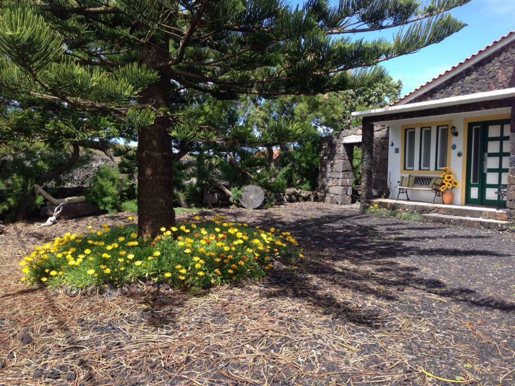 فيلا Casa Da Costa مادالينا المظهر الخارجي الصورة